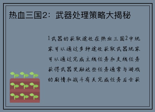 热血三国2：武器处理策略大揭秘